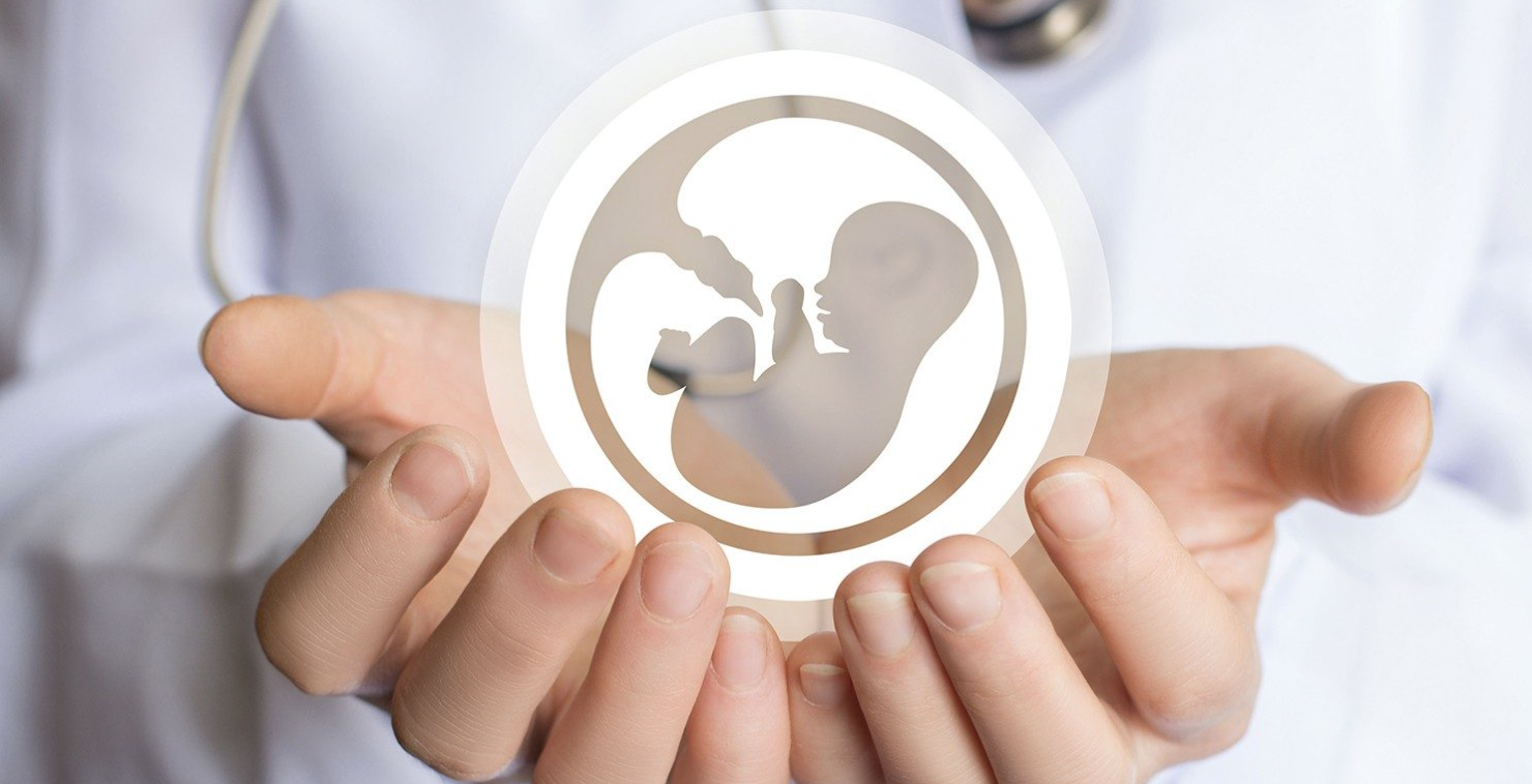 Screenshot 2022-06-11 at 10.14.34