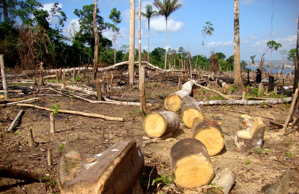 pollution-amazonia-shutterstock