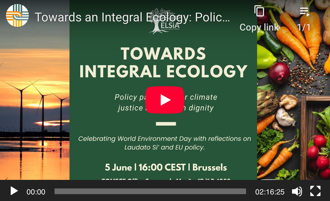 video-laudatosi-reflection-day-2025