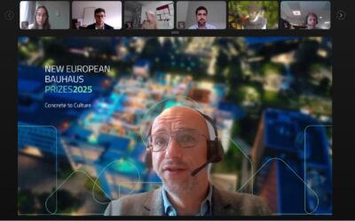 Screenshot of the 2025 online event presenting the NEB Lab project.